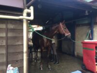 馬場 学習院大学