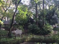 下落合 東山藤稲荷神社