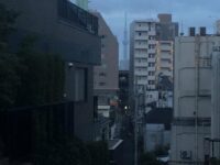 森鴎外記念館（旧観潮楼）裏手からの風景