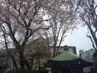 谷中 岡倉天心旧宅跡
