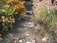 秋田 乳頭温泉 鶴の湯