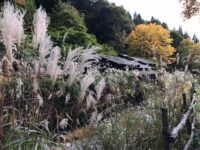 秋田 乳頭温泉 鶴の湯