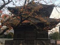 駒込 吉祥寺