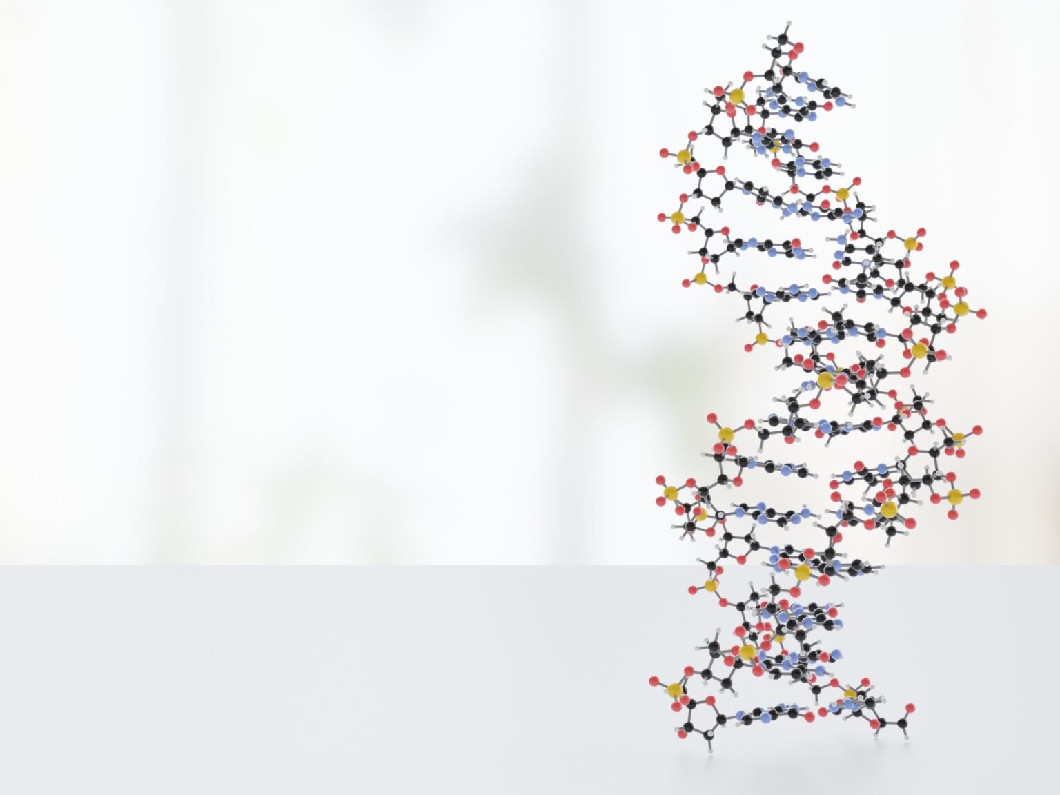 日本人の科学的根拠について DNAの分子模型