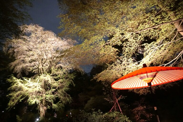 皇統の維持と一夫多妻制について