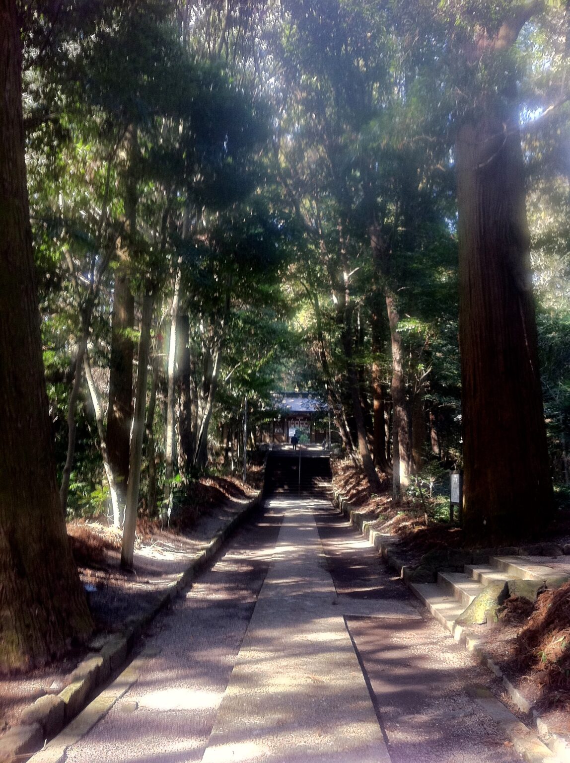 狭野神社
