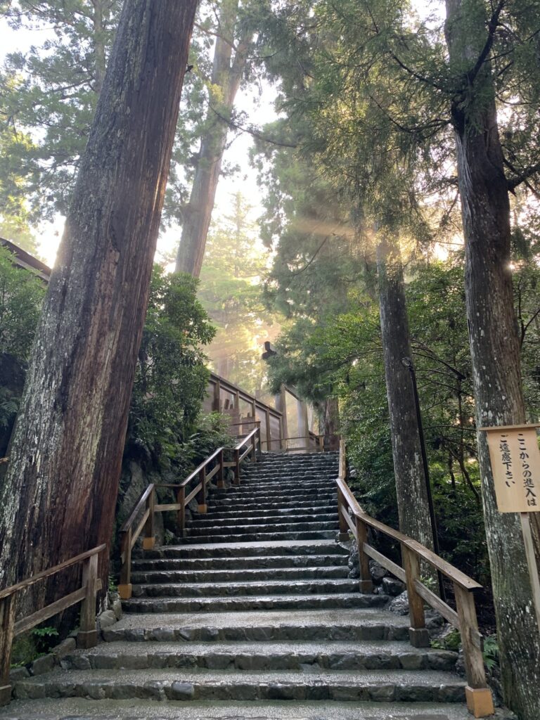 聖書の筋書 疫病の流行からウクライナ→イスラエル