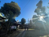 東新宿 西向天神社