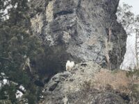 榛名神社と能登地震