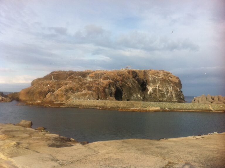 「縄文体感」+「弥生脳」神々と関わる力が日本文明の根幹を支える 出雲 経島