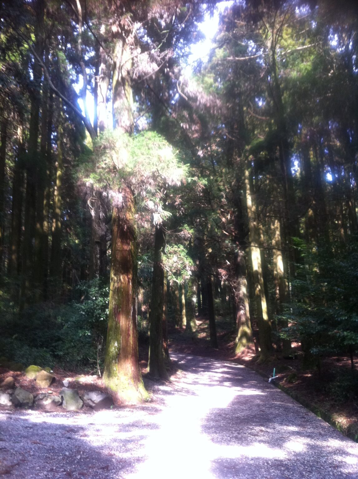 「もうこれで終わりかなー。」その少し先に見える世界
