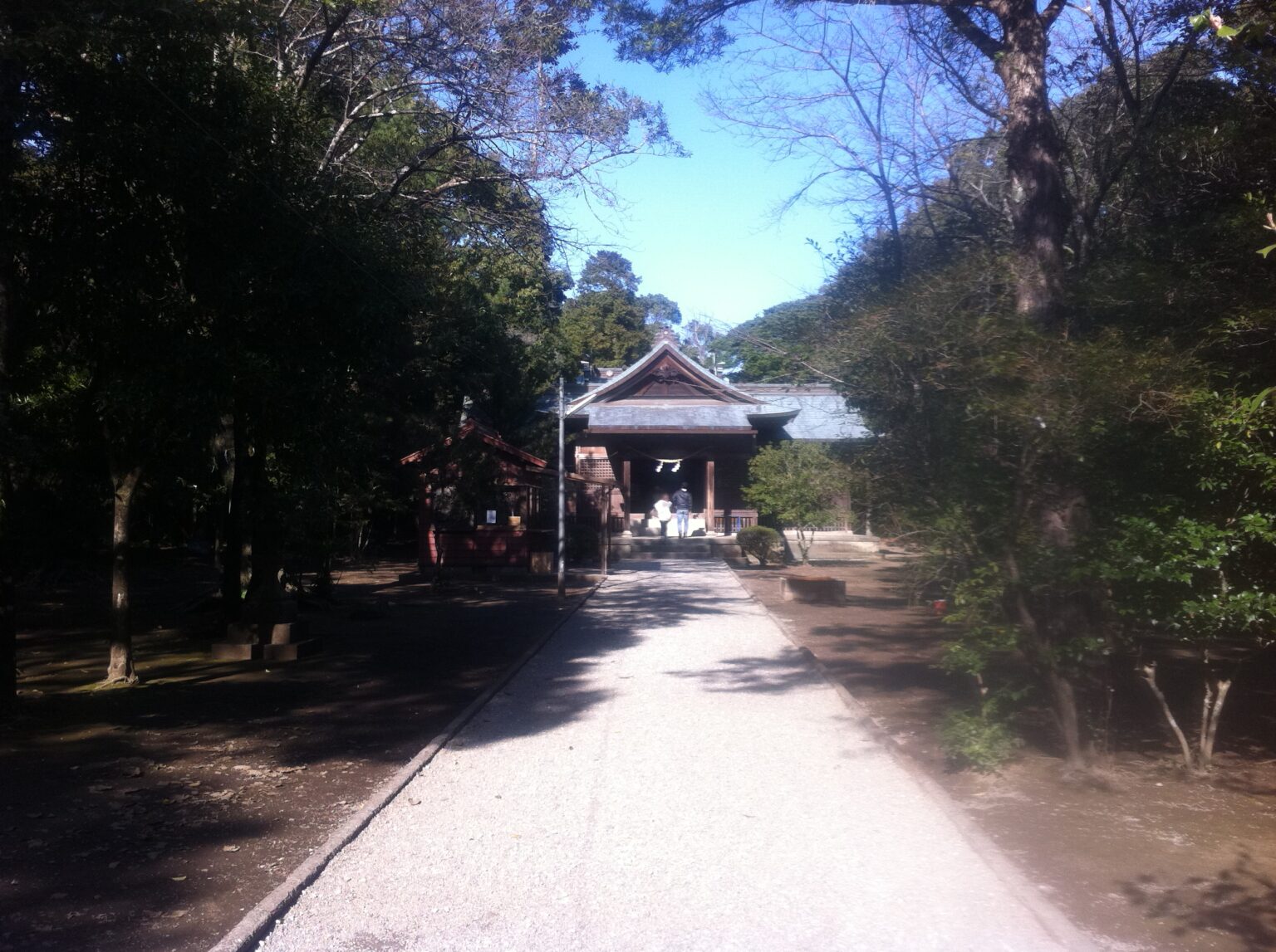 国家がやって良いこと悪いこと 自国が滅びないための人類史からの教訓 江田神社