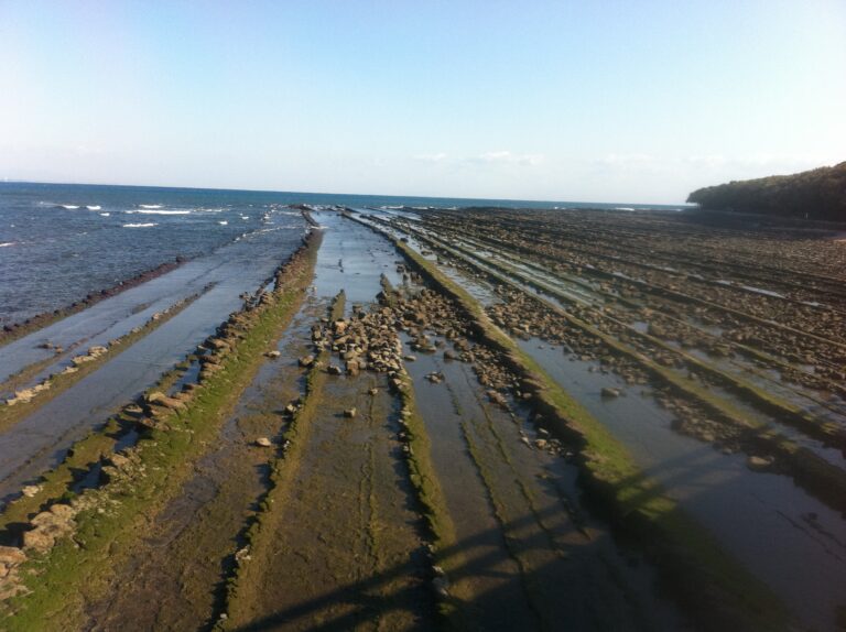 青島神社 鬼の洗濯板