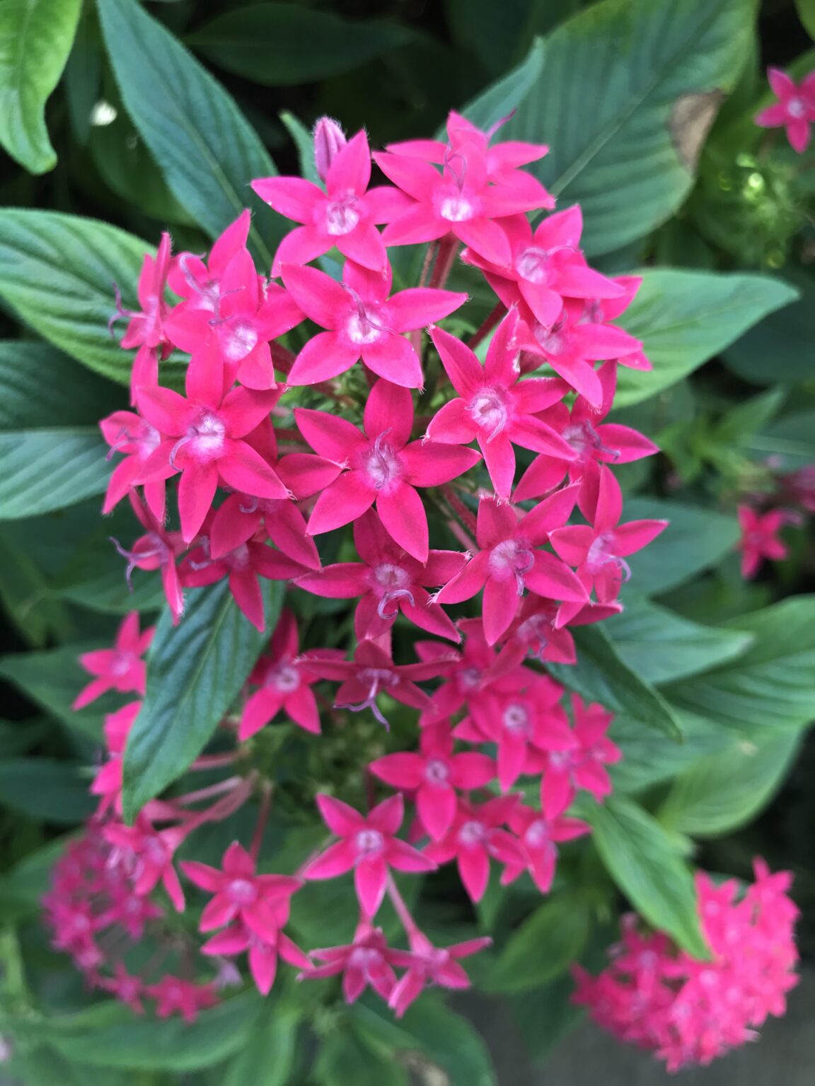 世の中の9割は自分で考えない? LGBTを超えるために