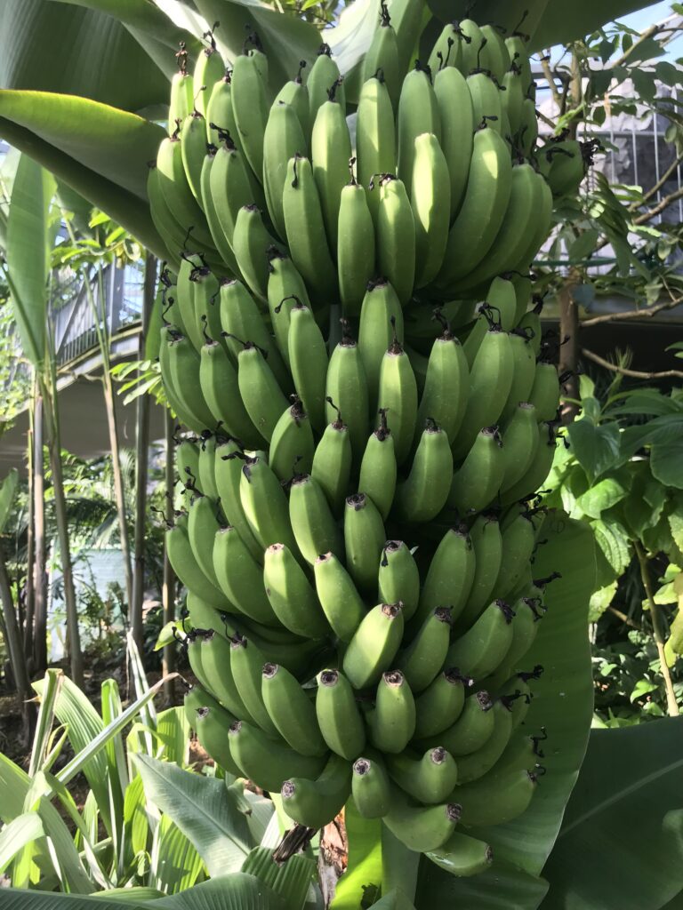 朝鮮半島情勢に関する情報 朝露接近