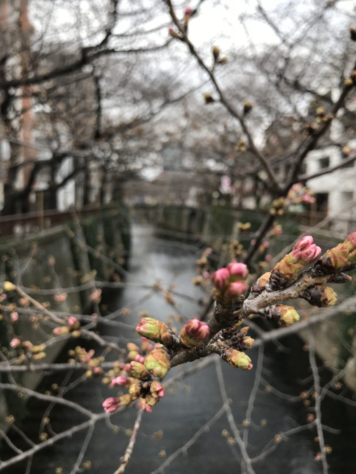 ものごとの変容や主体的意識活動に関わる手法についての論考