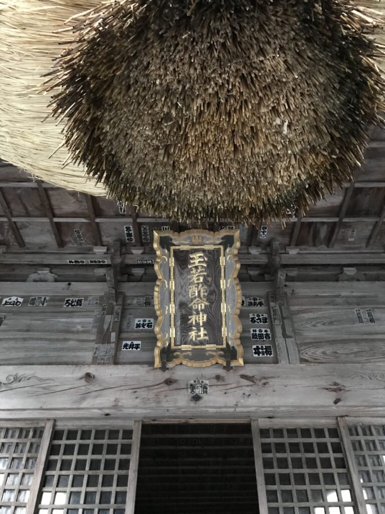 隠岐　玉若酢命神社　御神木