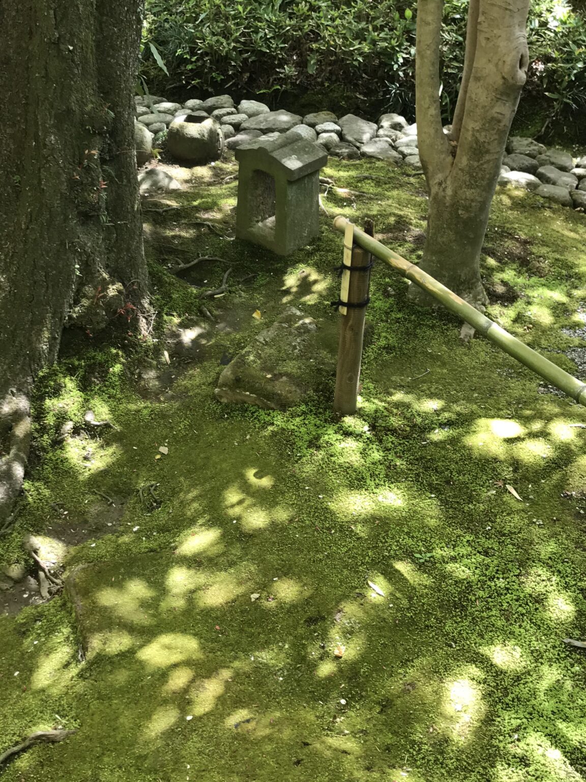 グルジェフ 良薬は口に苦し 聖者の本音と人間の深層を教えてくれる