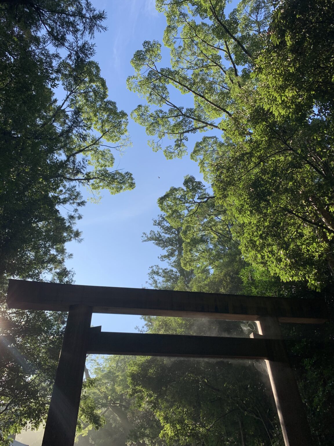 救世主はキリストか豆腐職人か 言霊とヨハネと