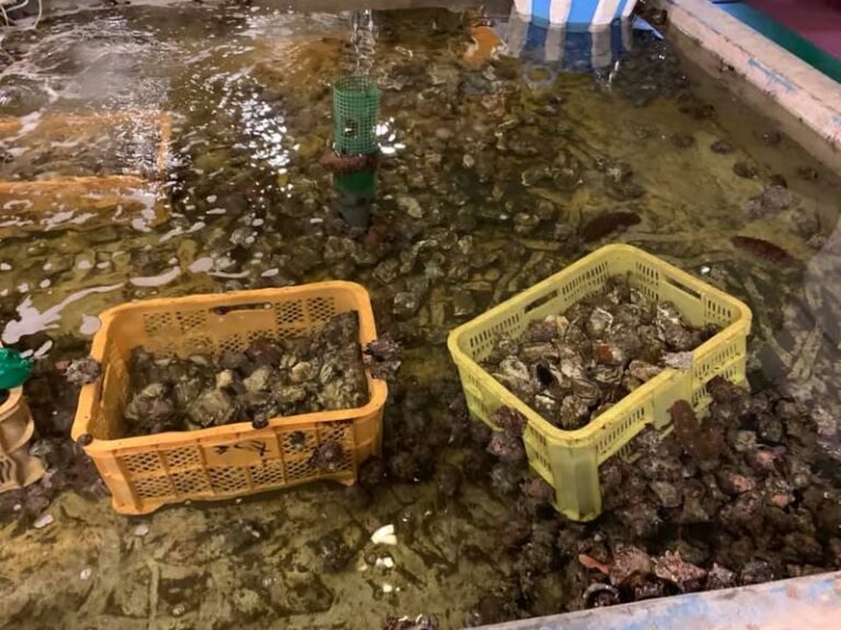 佐渡 寿司民宿で泊まる 寿司民宿 長浜荘