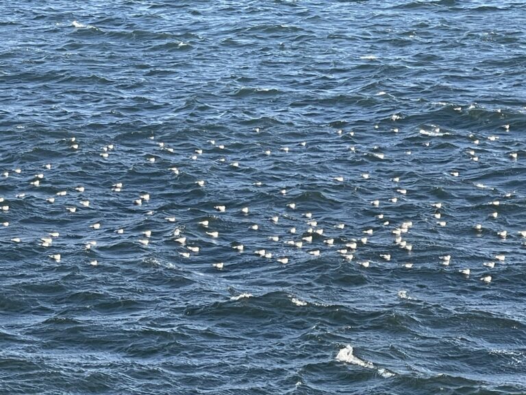 正しい情報収集のプロセス